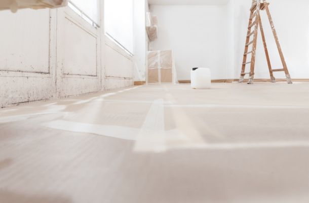Alexandria-Virginia-Mold-Remediation-Project-2-1